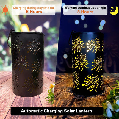 Solar Hollow Shadow Cast Lantern-Chrysanthemum